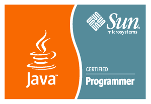 Marek Publicewicz - Sun Certified Java Programmer (2007)